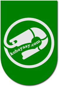 kobayasy.com